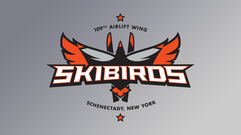 Air National Guard | Skibirds Logo